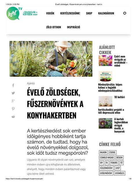 Fűszernövények a konyhakertben