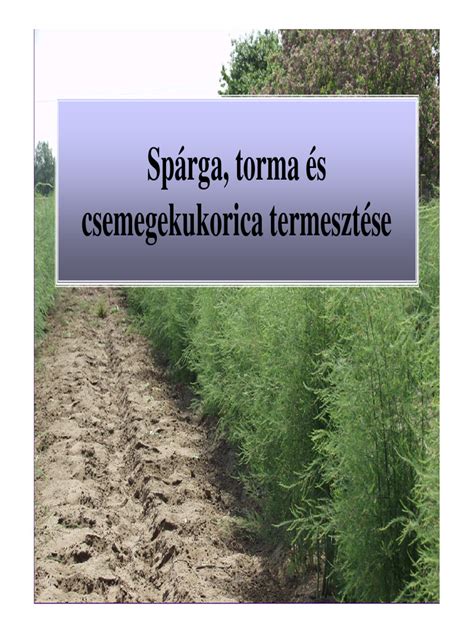 A spárga tápanyagtartalmát bemutató infografika