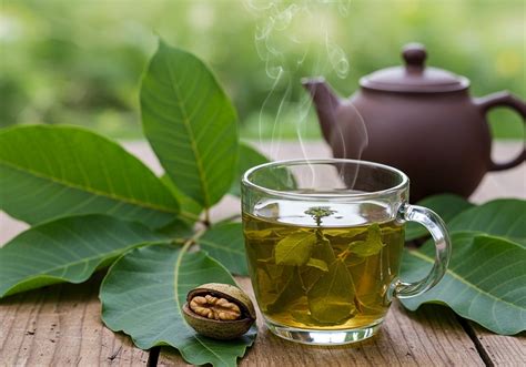 Diólevél tea elkészítése