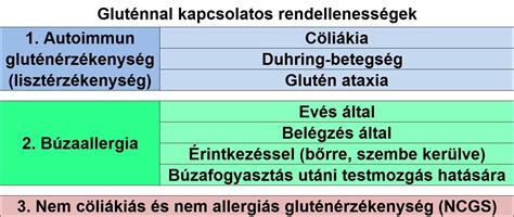 Gluténérzékenység tünetei infografika