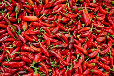 Fűszerpaprika