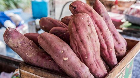 édesburgonya fajták