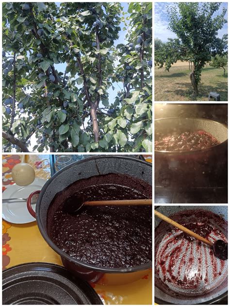 Dzsem főzése egy nagy lábosban