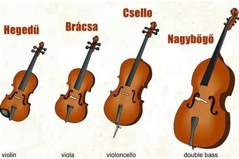 Hangszerek: zongora, hegedű, mélyhegedű, gordonka, nagybőgő bemutatója