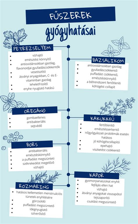 Fűszernövények, amelyek illenek a paradicsomleveshez