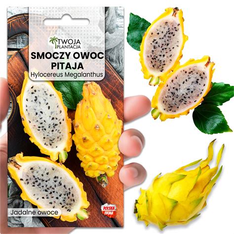 Sárkánygyümölcs (pitaja)