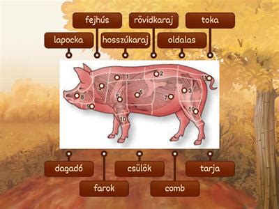 A sertés húsrészeinek diagramja