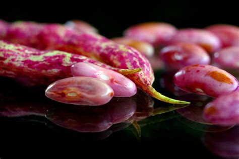 Különböző babfajták