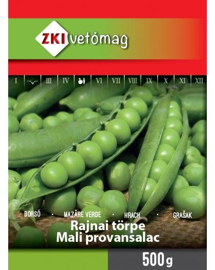 Rajnai törpe zöldborsó növény