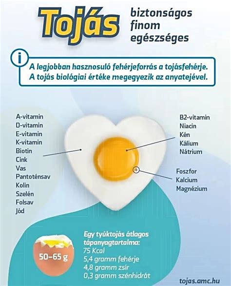 A tojás biológiai csodája