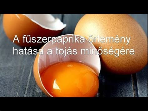 A tojás mennyiségének hatása a tészta rugalmasságára