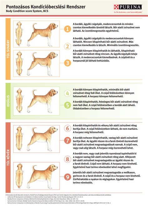 diagram az ideális tápanyagarányokról a kutyáknál