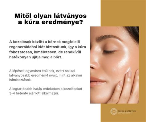 Az esztétika mint tudományág fogalomhálója