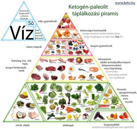 Egészséges ételtányér koncepció