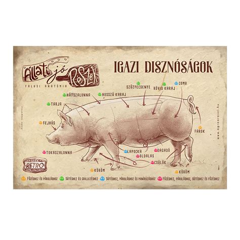 Sertéshús felvágva, különböző részek