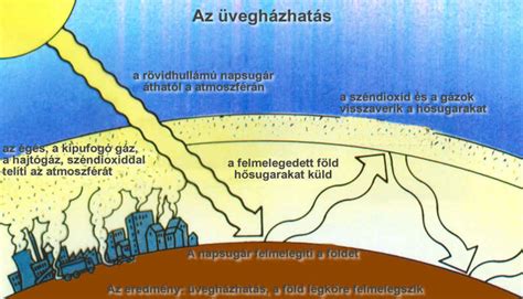 Diagram a tészta kelési folyamatáról és a szén-dioxid buborékok kialakulásáról