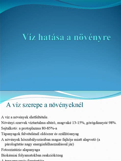 Online értékelések hatása a vendéglátásra