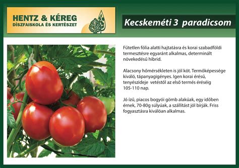 Gombazsákok termesztésre előkészítve