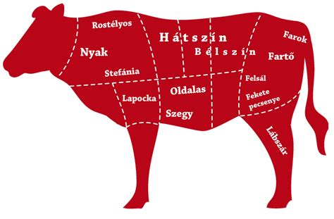 Marha bontási ábra