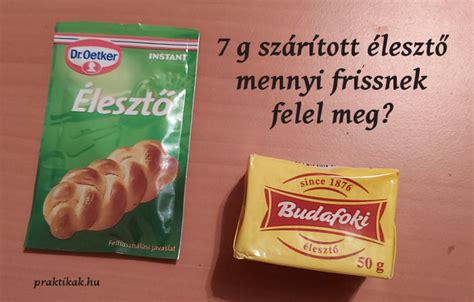 Friss élesztő kocka