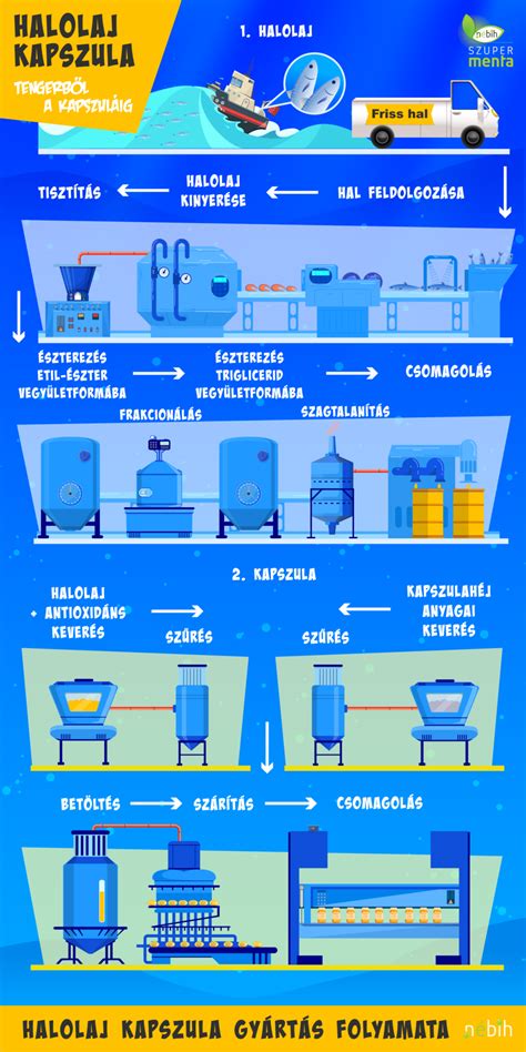 Tonhalkonzerv gyártási folyamata infografika