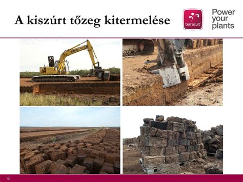 Tőzeg kitermelése