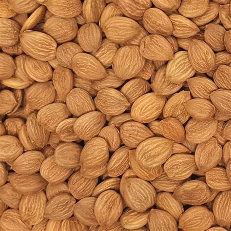 A barackmag diszítése és végső formája