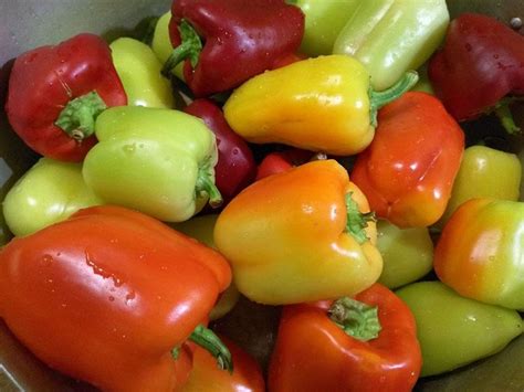 Különböző fajtájú pirospaprika