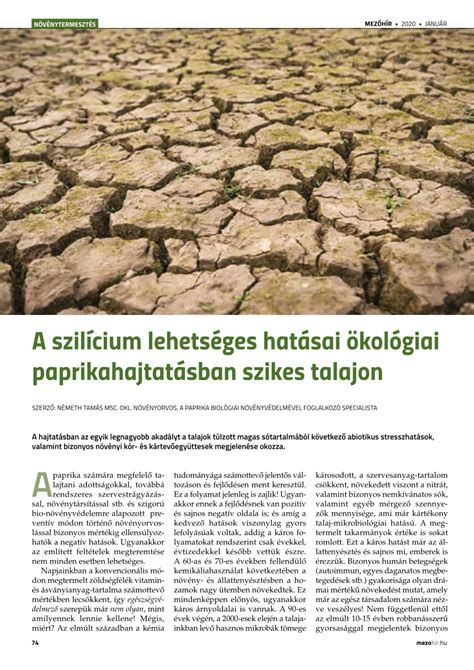 Paprika növekedése szikes talajon
