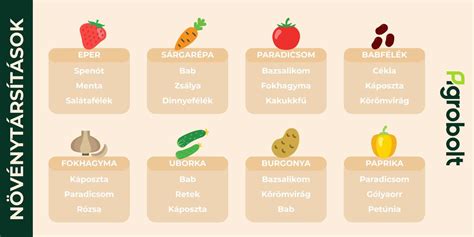 Növénytársítások a paprika körül