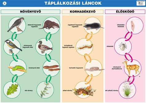 Példa egy táplálkozási alkalmazás felületére a bevitt adatokkal