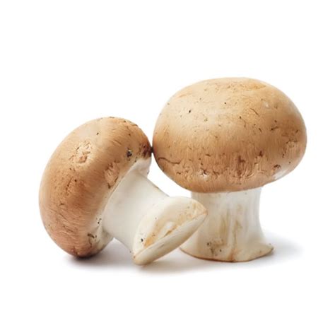 Barna csiperke gombák