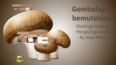 Különböző gombafajok