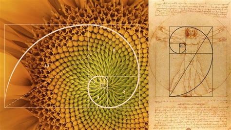 Fibonacci lépcső