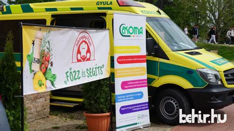 Közösségi főzés és süteménykészítés
