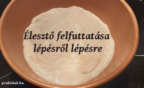 Élesztő felfuttatása tejben lépésről lépésre