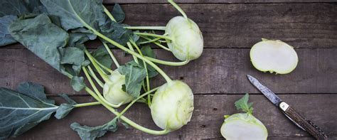 Karalábé kivájása karalábévájóval