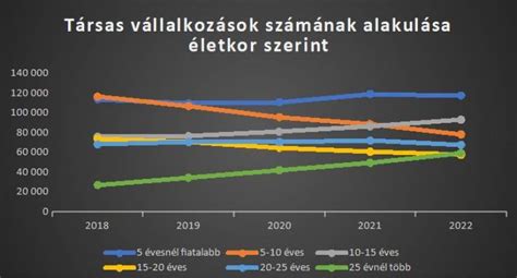 Diagram, amely a VANILIN Kft. nettó árbevételének alakulását mutatja az elmúlt években, hangsúlyozva a 2024-es évet.