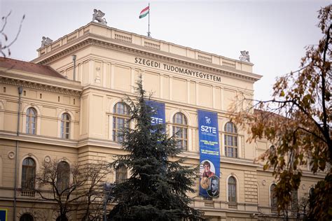 panorámakép a Szegedi Tudományegyetem Füvészkertjének japánkertjéről, az indiai lótuszok virágoznak a tavon, a háttérben egzotikus fák és egy kis sziget látható