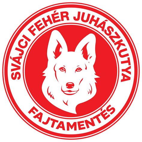 friss sertésvelő előkészítés közben