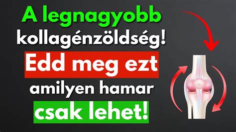 kollagénben gazdag csontok