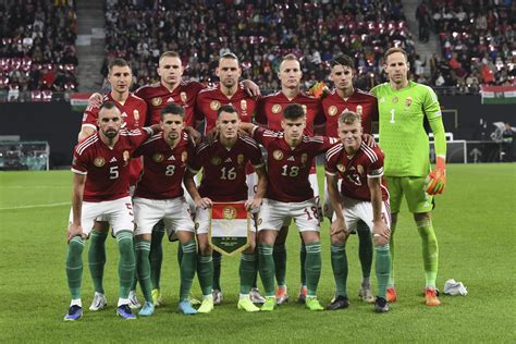 Válogatott magyar köretek egy tányéron