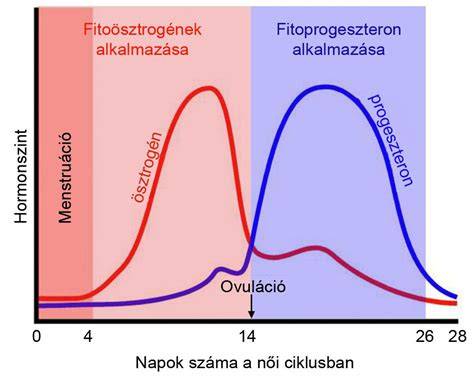 A húsmarha táplálóanyag-szükségletének változása a termelési ciklusban