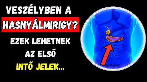 A hasnyálmirigy-gyulladás tünetei infografika