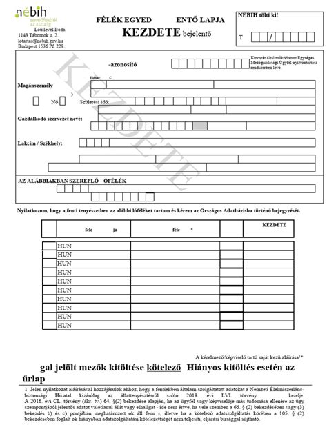 Lóútlevél minta