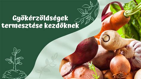 Különböző gyökérzöldségek tányéron elrendezve