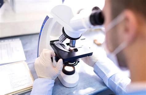 Húsvizsgálati laboratórium képe