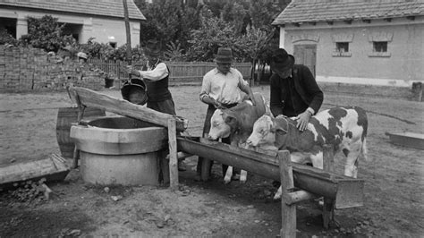 Lucien Olivier portréja vagy az 1860-as évekbeli Moszkva