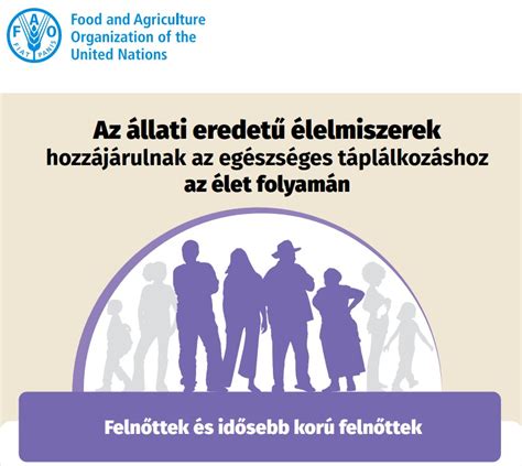 Gyomorbarát ételek infografika