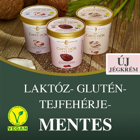 Cukormentes pálcikás jégkrémek változatos ízekben